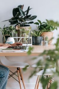 Tips for Creating a Productive and Cosy Home Office Environment