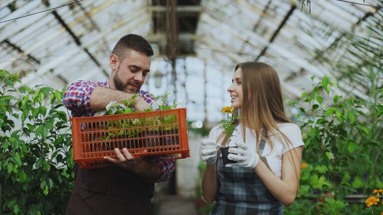 Tips for Creating a Sustainable Home Garden Throughout the Year